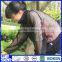 Express anti mosquito clothing
