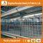Trade Assurance automatic chicken broiler cage for sale