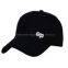 Baseball cap with embroidery