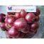 Dried RED PURPLE ONION Vietnam 2016 (Jolie Whatsapp Viber 84 98 358 7558)
