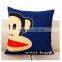 OEM Square Cotton Pillow for Office