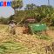 Factory supplying best price sugarcane leaf remover / sugarcane cleaning stripping machine