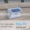 Decorative Wall Mounted Outdoor Solar Lights Waterproof