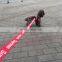 Fashion Supre me braid red letter pet collar dog collar hauling leash harness set