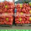 Wholesale Export Fresh Red/Yellow/White Onion to Dubai