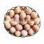Professional commercial duck egg cleaning machine for-egg