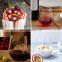 Portable Large Unbreakable Clear Creative Christmas Personalized Custom Tritan Plastic Red Wine Glass