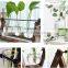 Plant Terrarium with Wooden Stand, Desktop Glass Planter Bulb Vase Bulb Plant Terrarium with Retro Solid Wooden Stand