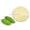 Organic powder bitter melon/hot sale natural organic/Manufacturer supply high quality bitter melon extract powder from Vietnam