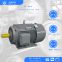 YE3 series low-voltage three-phase asynchronous motor