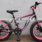 2015 20 inch 4.0 Fat bike fat tire bike kids fat bike (FT-20004)