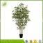 300cm combined wholesale factory price bamboo bonsai tree