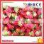 China Frozen Organic Iqf Strawberry Diced/Whole