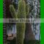 Artificial cactus/fake cactus ball/plastic cactus/fiber glass huge cactus