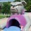inflatable tunnel for sports /event/party