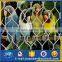 Aviary cage birds netting Zoo aviary fence for wire rope mesh