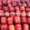 supply 2015 new crop fresh Huaniu apple with best price