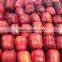 Supply 2015 New Crop Fresh Huaniu Apple With Best Price