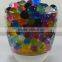 Aqua Crystal Gel Beads Expanding Water Crystals