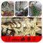 Christmas Star Lights for Shopping Mall Decorations