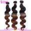 Wholesale 5a two tone ombre color hair weave virgin Malaysian hair cheap ombre hair weaves