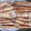 Frozen Squid 150-200g