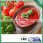 All sizes of tomato paste condinents in can directly from the factory