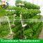 Desert and semi-arid greenhouse for tomato lettuce strawberry