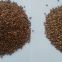 supply Chinese roasted buckwheat kernel