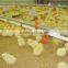 broiler chicken floor feeding system/feeder pan system