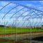 Gothic Arch Greenhouse for sale Commercial Greenhouse