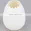 Plastic decorative flower pots for home,office,garden