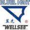 Hubei Bluelight Company