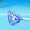 Pool Cleaning Accessories Vacuum Head With Brush