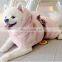 Teddy bear puppy dog puppy dog pet autumn winter lady fur coat princess cotton-padded coat