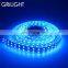 The best selling products double row rgb 5050 led strip 120leds/m for landscape