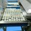 egg peeler/Chicken eggs peeling machine/commercial boiled egg peeling machine