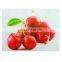 Non-toxic and HarmlessTempered Glass Kitchen Chopping Cutting Boards