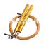Bearing Skipping Rope Jumping Rope Men Women Workout Equipment Steel Wire Home Gym Exercise and Fitness MMA Boxing Training