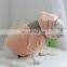 Wind Proof High Quality Pet Supplies Luxury Brand New Year Korea Style Fashion Fancy Custom Dog Clothes