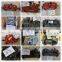SK70 SK75-3 SK75-8 Mini Main Hydraulic Pump For Excavator YT10V00002F1 YT10V00002F2 A10V063