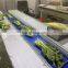 Automatic Leafy Vegetable Celery Packing Machine Cabbage Lettuce Packaging Machine