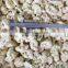 frozen cauliflower floret