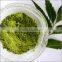 Original Neem Leaf Powder Bulk Producers