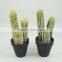 Factory direct selling promotional items big pallet artificial plants