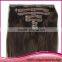 Wholesale Clip In Hair Extension Real Peru Human Hair Clip In Extension