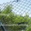 High Quality Chain Link Fence Made in China Factory