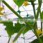 100% new PP Plant Support Net/pp Cucumber net / Plant Climbing Support Net