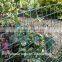 Green plastic garden fence,Green garden mesh