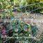 Garden and plant plastic netting/HDPE garden netting